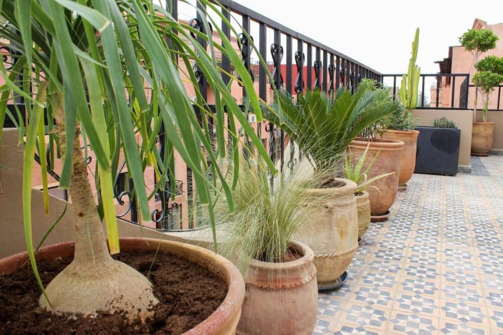 Apartament Dar Nouonsa Marrakesz Zewnętrze zdjęcie